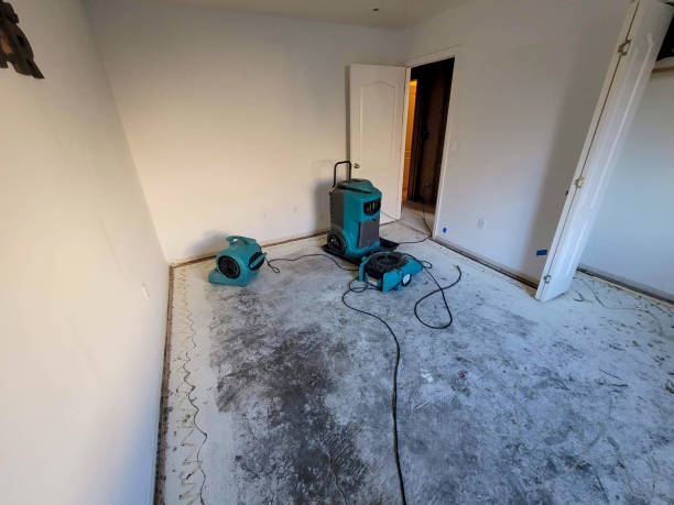 Best Water damage restoration near me  in Lavaca, AR