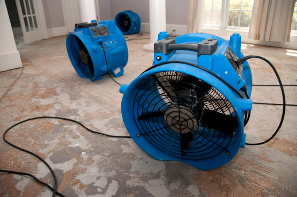 Best Ceiling water damage repair  in Lavaca, AR