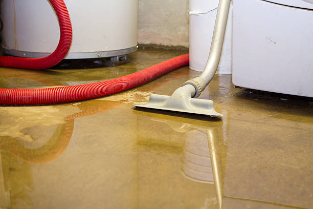 Best Carpet water damage restoration  in Lavaca, AR