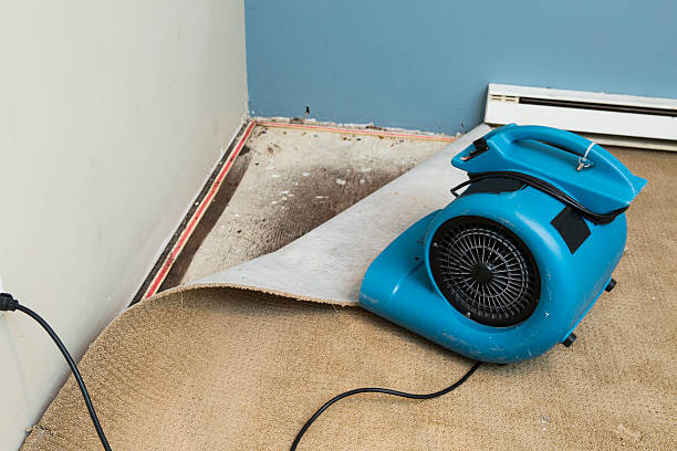Best Commercial water damage restoration  in Lavaca, AR